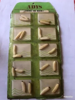 Twist 20 Vers De Bois Imitation Leurre PĂȘche Collection Ancien