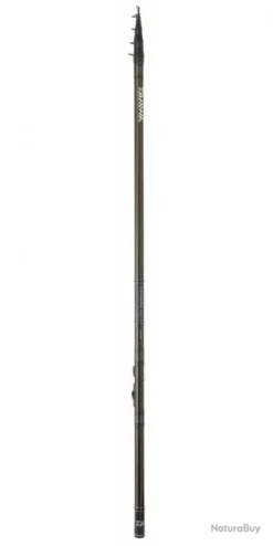 CANNE DAIWA EXCELER TOC TELEREGLABLE 6m