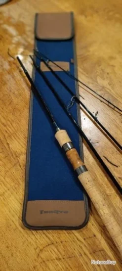 Canne à Pêche TENRYU RAYZ