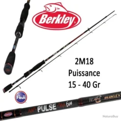 Canne Leurre Spinning Berkley Pulse Evo 2M18 (15-40 Gr) 722H
