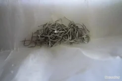 Hameçons 15 Mustad Par 500 Blanc Extra Court