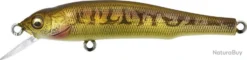 Leurre Megabass Great Hunting 70 Flatside VAIRON