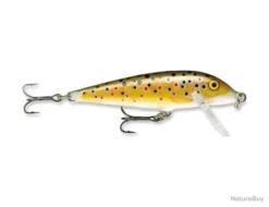 Leurre Rapala Countdown 5cm TR