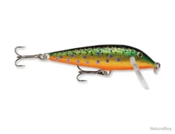 Leurre Rapala Countdown 7cm BTR