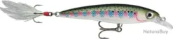 Leurre Rapala X-Rap 4cm RT