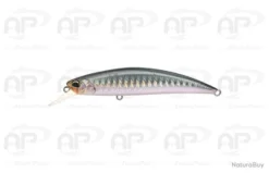 Leurre Truite Duo Spearhead Ryuki 80S Et SW Coulant 12 G 80mm Belone