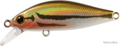 Leurre Zip Baits Rigge Flat 50S UGUI