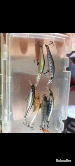 Leurres Truite Neuf Smith, Jackson, Rapala