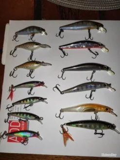 Lot Leurres Truite Rapala, Daiwa, Jackson