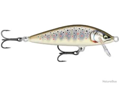 Poisson Nageur Rapala Countdown Elite CDE 5,5cm GDBT