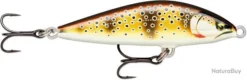 Poisson Nageur Rapala Countdown Elite CDE 5,5cm GDMT