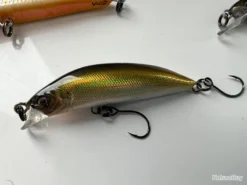 RAYTUNE SA50RS - 3,5GR - SHAD