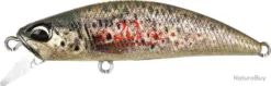 DUO RYUKI 50S - CCC3815 BROWN TROUT ND