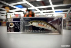 SMITH D-CONTACT 50 Col.33