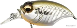 Megabass SRX GRIFFON 2 M STARDUST SHAD OB