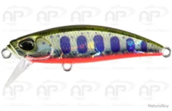 Leurre Truite Duo Spearhead Ryuki 46S 5 Gr Yamame Red Belly 46mm