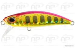 Leurre Truite Duo Spearhead Ryuki 51S 51mm 5.5 Gr Peach Gold Yamame