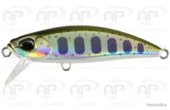 Leurre Truite Duo Spearhead Ryuki 51S Yamame 51mm 5.5 Gr