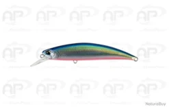 Leurre Truite Duo Spearhead Ryuki 80S Et SW Coulant 12 Gr 80mm Blue Back RB II