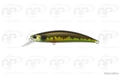 Leurre Truite Duo Spearhead Ryuki 80S Et SW Coulant 12 Gr 80mm Spring Minnow