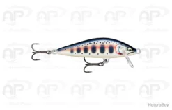 Rapala Countdown Elite 5,5 Cm 5 Gr 5,5 Cm GDYM