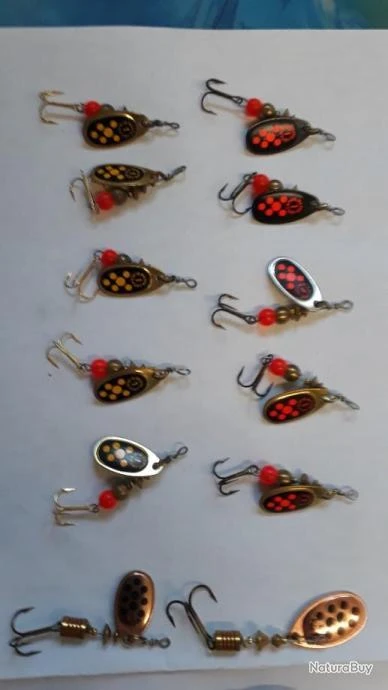 Mepps 20 Cuillères Truites Et Perches – Image 3