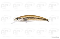 Leurre Truite Duo Spearhead Ryuki 70S Vairon Coulant 9gr 70mm