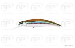 Leurre Truite Duo Spearhead Ryuki 70S Wakasagi Coulant 9gr 70mm