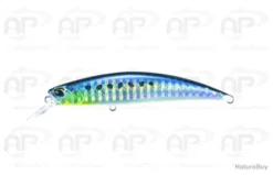 Leurre Truite Duo Spearhead Ryuki 95S Salt Water Sardine 17gr 95mm