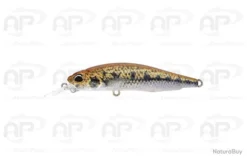 Leurre Duo Realis Rozante 77SP Goujon 77 Mm 8,4gr 0,8-1,2m