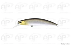 Leurre Truite Duo Spearhead Ryuki 70S Coulant 9gr 70mm Mat Rider