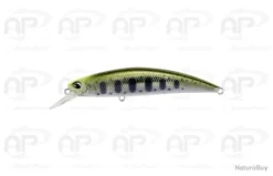 Leurre Truite Duo Spearhead Ryuki 80S Et SW Yamame Chart Back Coulant 12gr 80mm