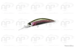 Leurre Truite Duo Spearhead Ryuki Flottant Rainbow Trout Flottant 3,5gr 50mm