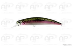 Leurre Truite Duo Spearhead Ryuki Flottant Rainbow Trout Flottant 5,3gr 70mm