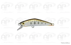 Leurre Truite Smith D Compact 38 & 45 07 2,5 G 38 Mm