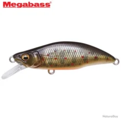 Leurre Great Hunting 51 Humpback Megabass 5,1cm Takumi Iwana
