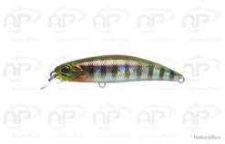 Leurre Truite Duo Spearhead Ryuki 60S Coulant 6,5 G 6cm Hameçons Triples Prism Gill