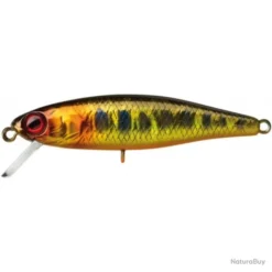 Leurre Illex Tiny Fry 2.7 G - 5,0 Cm - Gold Gd Trout / 1